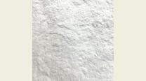 Welpenmilch